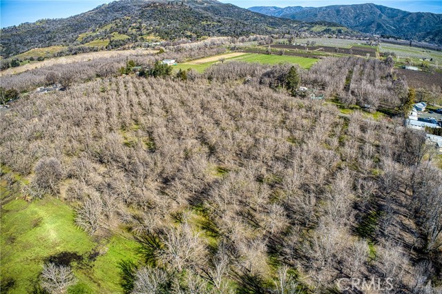 10010 Elk Mountain Road, Upper Lake/ Upper Lake Valley, California 95485, ,Land,For Sale,10010 Elk Mountain Road,CRLC23044793