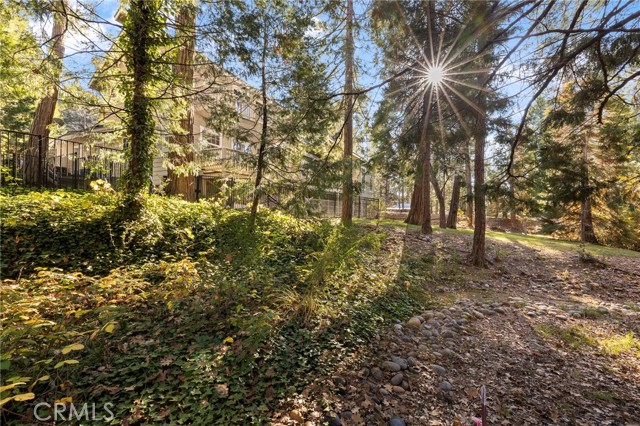 Detail Gallery Image 57 of 63 For 53875 Dogwood Creek, Bass Lake,  CA 93604 - 4 Beds | 2/1 Baths