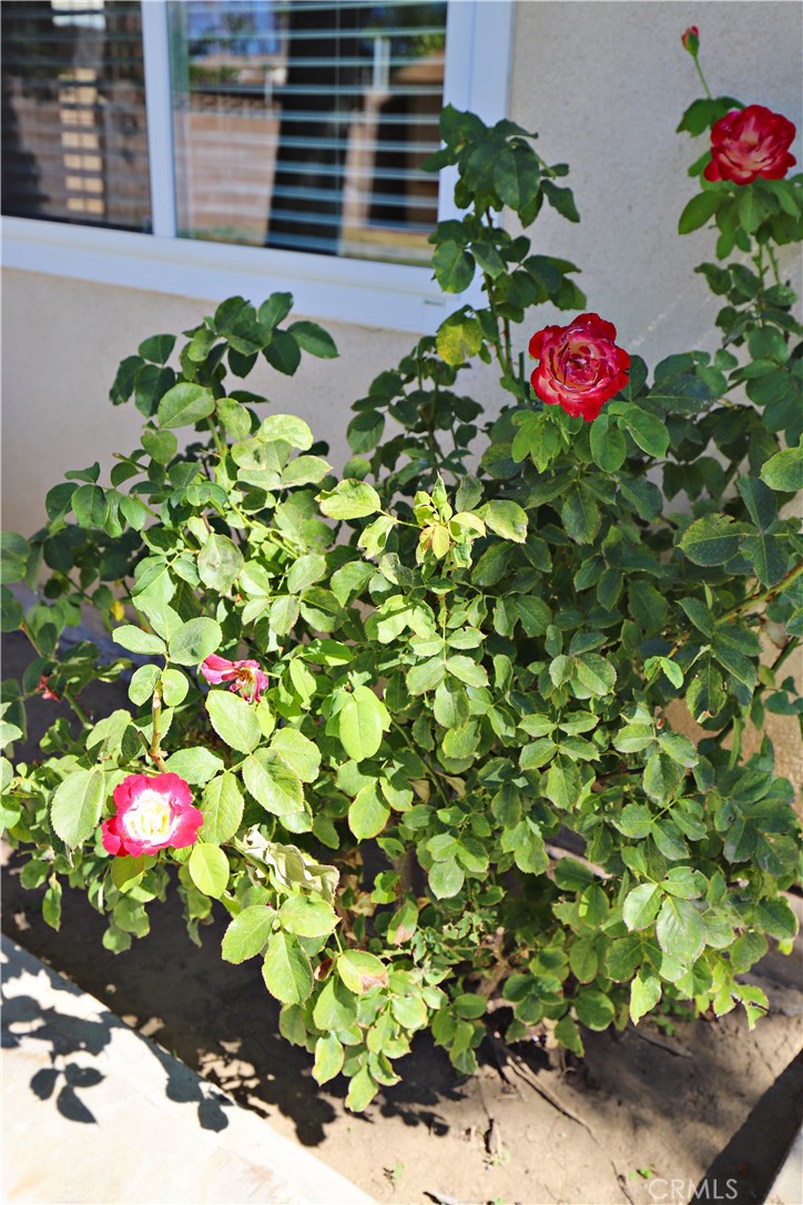 https://media.crmls.org/medias/7639adf4-1225-4be7-870c-2da68fcfc804.jpg?preset=X-Large