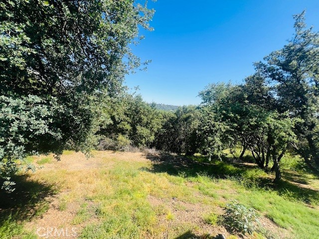 Detail Gallery Image 32 of 75 For 8697 Fraguero Rd, Sonora,  CA 95370 - 4 Beds | 2/1 Baths