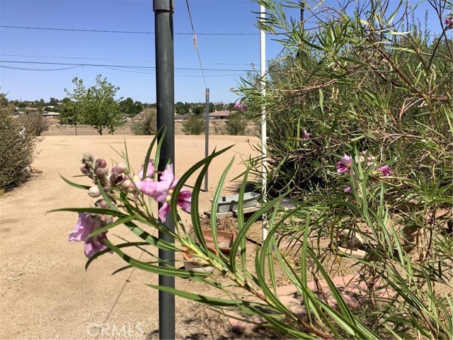 Detail Gallery Image 68 of 68 For 19242 Monterey St, Hesperia,  CA 92345 - 3 Beds | 2 Baths