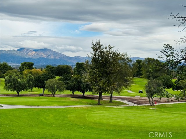 MLS #NP25231503 image #37