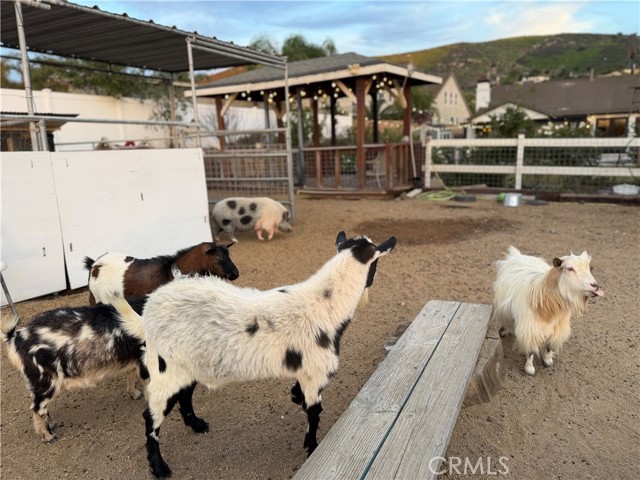 Detail Gallery Image 73 of 75 For 3070 Crestview Dr, Norco,  CA 92860 - 4 Beds | 3 Baths