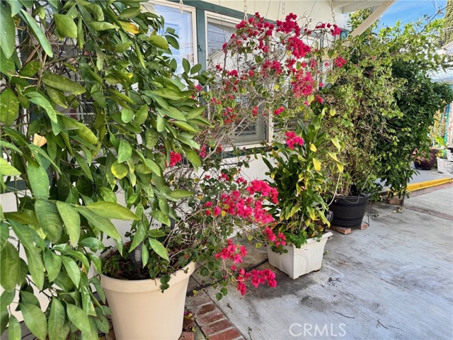 Detail Gallery Image 56 of 69 For 19523 Friar, Tarzana,  CA 91335 - 3 Beds | 2 Baths