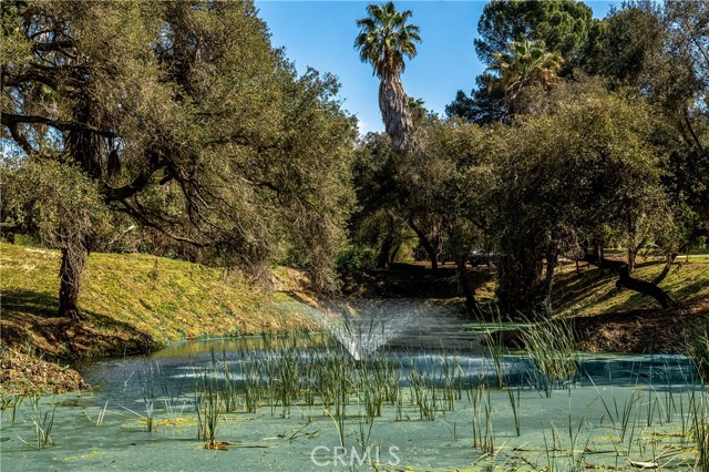 Detail Gallery Image 58 of 60 For 7744 W Lilac, Bonsall,  CA 92003 - 5 Beds | 3 Baths