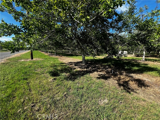 4180 COUNTY 203 Road, Orland CA: https://media.crmls.org/medias/7650d774-32ad-4589-a890-2e76a0e315c7.jpg