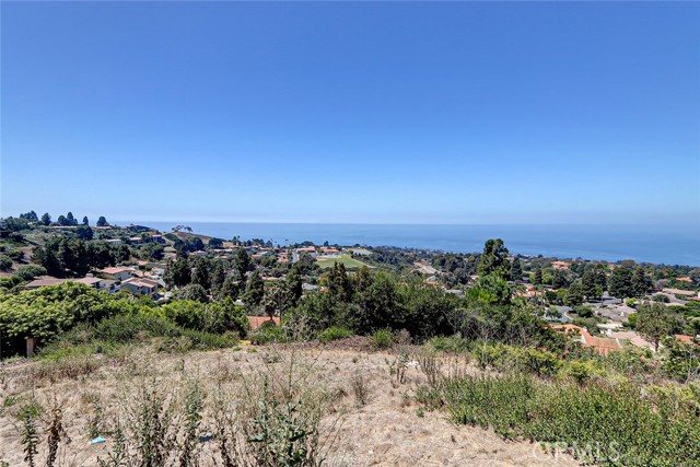 Detail Gallery Image 16 of 23 For 1501 via Coronel, Palos Verdes Estates,  CA 90274 - 6 Beds | 6 Baths