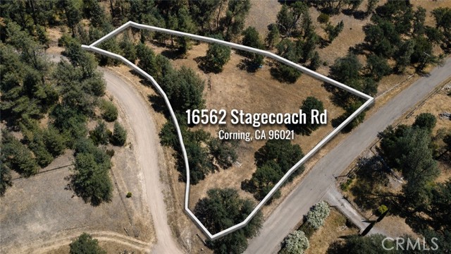 Front Image Thumbnail for CRPA26141454