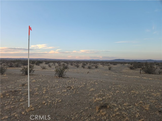 Detail Gallery Image 4 of 7 For 34 Panamint Trl, Helendale,  CA 92342 - – Beds | – Baths