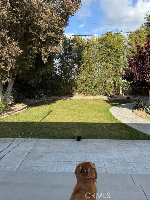 8006 Bleriot Avenue, Los Angeles CA: https://media.crmls.org/medias/7660a868-10b2-4fb1-b876-2ce6cb884cf4.jpg