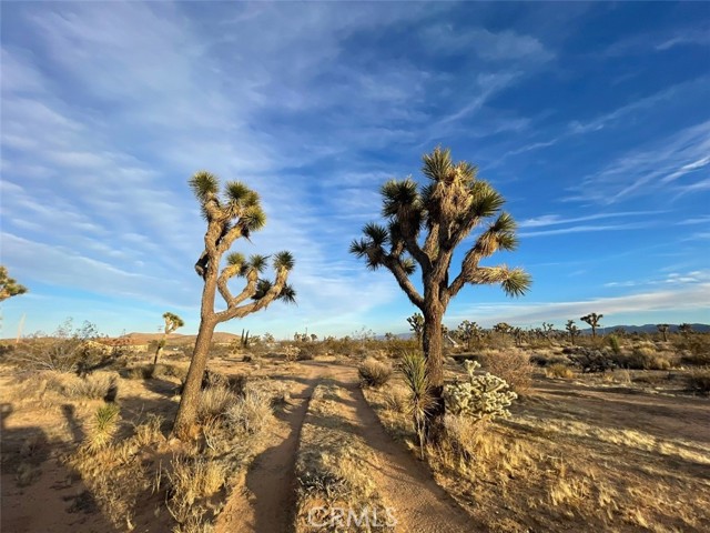 0 La Brisa Drive, Yucca Valley, California 92284, ,Land,For Sale,0 La Brisa Drive,CRJT24007447