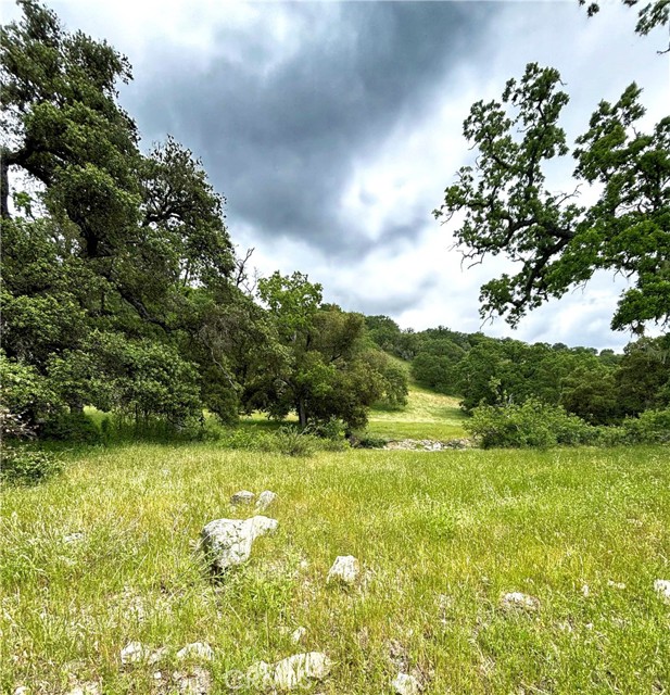 41500 Carmel Valley Road, Greenfield, California 93927, ,Land,For Sale,41500 Carmel Valley Road,CRNS23151588