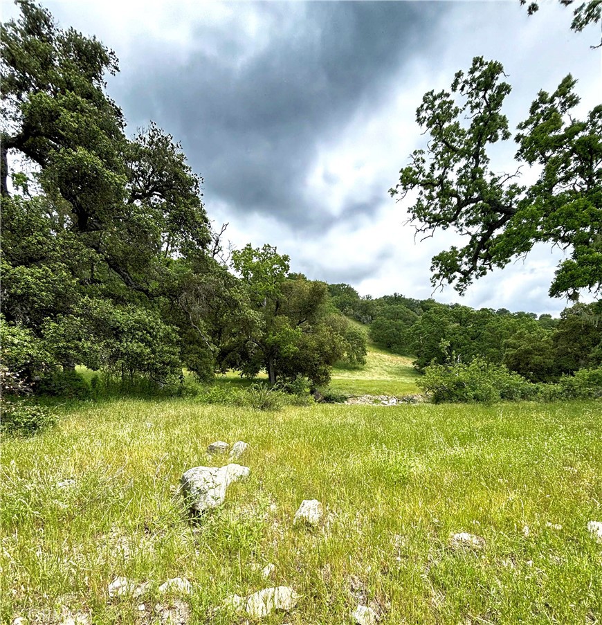 41500 Carmel Valley Road