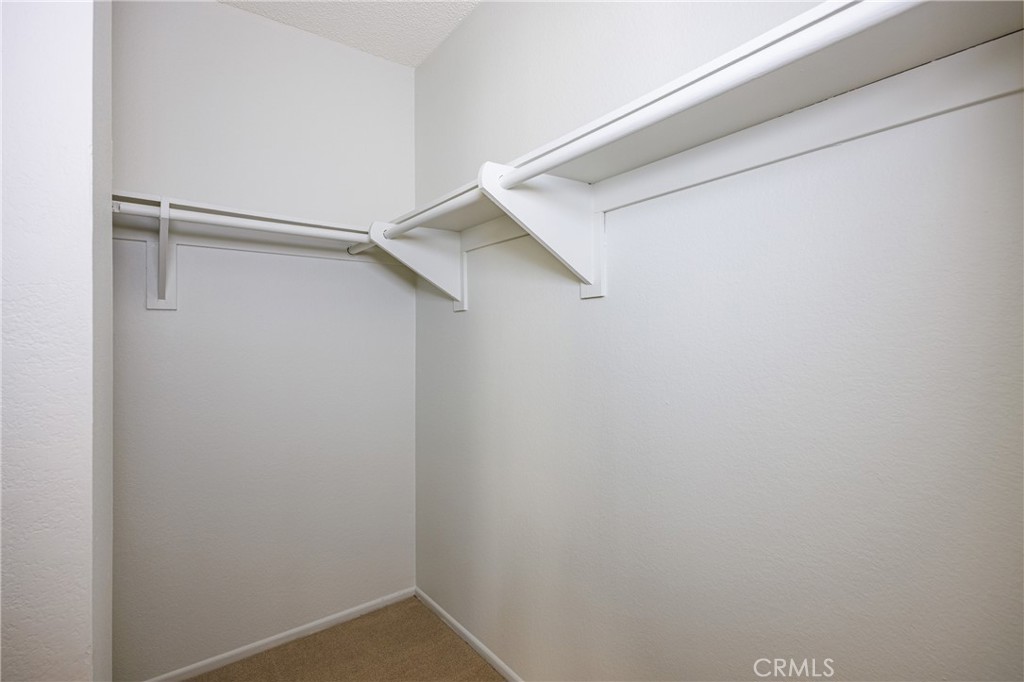 76698f78 A6ed 4de1 82cf Ed990387a7a5