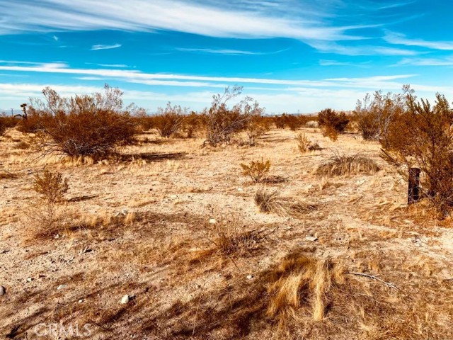 Detail Gallery Image 2 of 5 For 135 E 135 St E Ave, Pearblossom,  CA 93553 - – Beds | – Baths