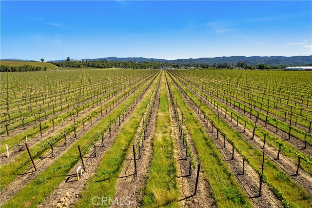 Detail Gallery Image 26 of 29 For 1650 Bell Hill Rd, Kelseyville,  CA 95451 - – Beds | – Baths