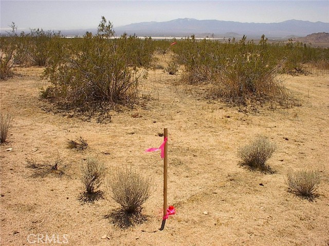 Detail Gallery Image 16 of 31 For 0 Cherry Rd, El Mirage,  CA 92301 - – Beds | – Baths