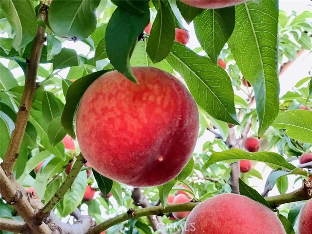 Detail Gallery Image 19 of 39 For Address Is Not Disclosed, Gardena,  CA 90249 - 5 Beds | 4 Baths