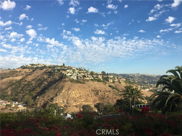 Canyon views from living room