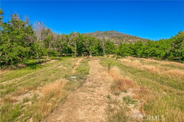 Detail Gallery Image 56 of 69 For 10905 Elk Mountain Rd, Upper Lake,  CA 95485 - 3 Beds | 2 Baths