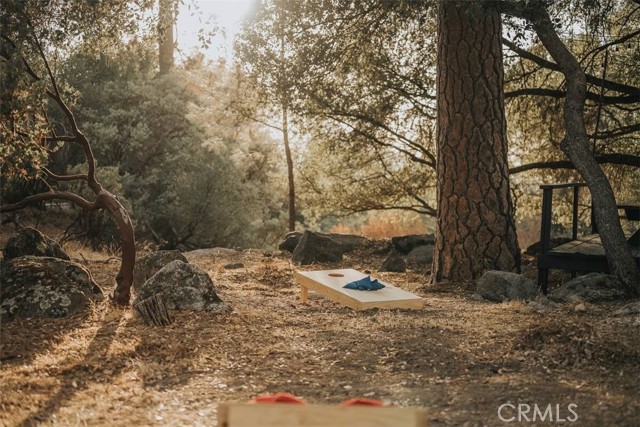 51259 Bon Veu Drive, Oakhurst CA: https://media.crmls.org/medias/768067cc-e7ba-4072-bfa2-6d2c58b178d2.jpg