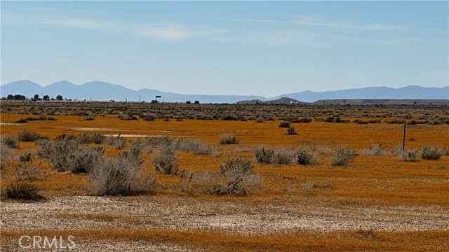 Detail Gallery Image 3 of 4 For 5112 Hwy 395, –,  CA 93516 - – Beds | – Baths