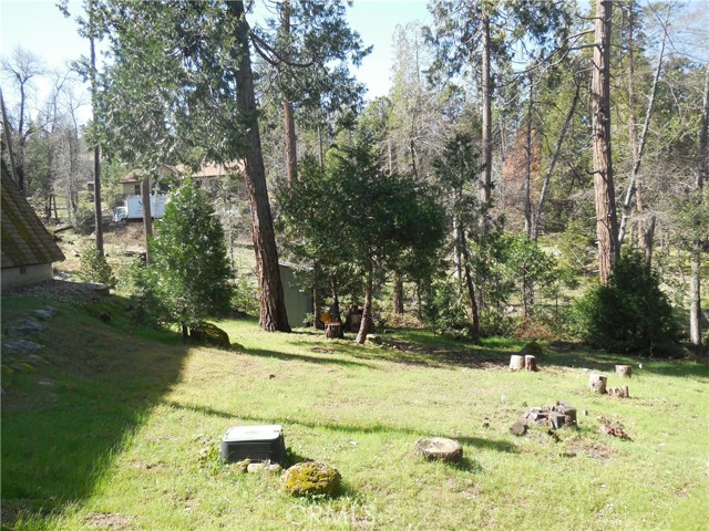 44824 Mountain Meadow Road, Oakhurst CA: https://media.crmls.org/medias/768566b7-de48-43a5-a60d-d821a3eb65b6.jpg