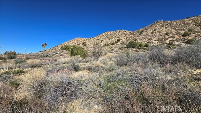 Detail Gallery Image 3 of 31 For 0 Pinon Road to Mescal Highlands, Llano,  CA 93544 - – Beds | – Baths