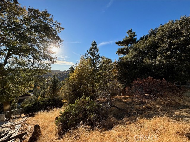 Detail Gallery Image 3 of 5 For 0 Grass Valley Rd, Lake Arrowhead,  CA 92352 - – Beds | – Baths