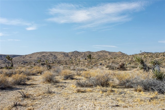 Detail Gallery Image 8 of 15 For 55625 Luna Vista Ln, Yucca Valley,  CA 92284 - – Beds | – Baths