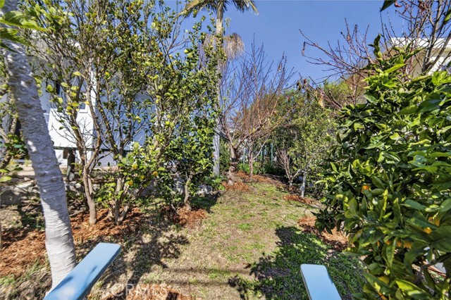 Detail Gallery Image 25 of 40 For 229 W Canada, San Clemente,  CA 92672 - 3 Beds | 2 Baths