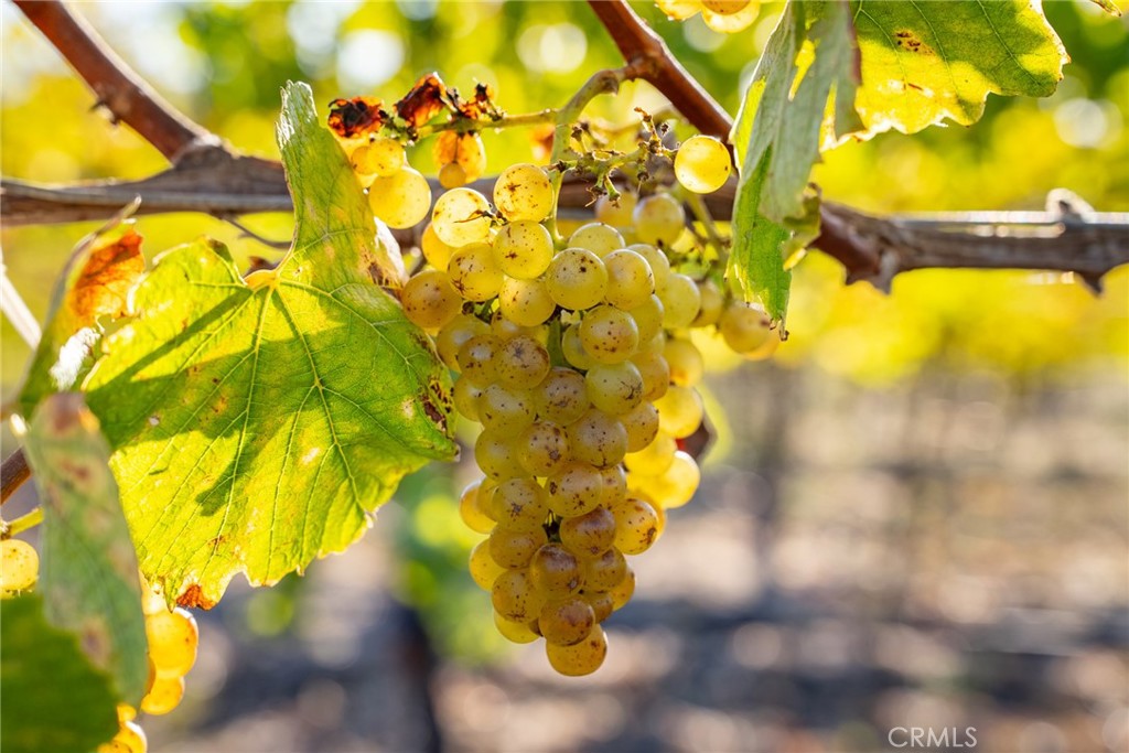 MLS #NS25194884 image #68