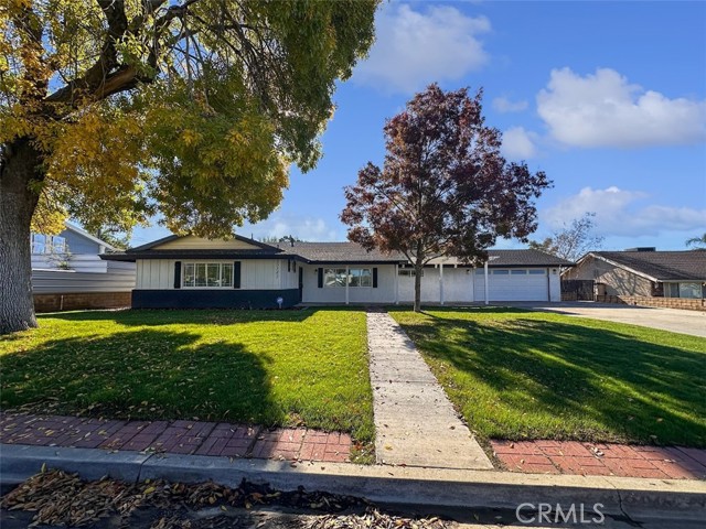 Front Image Thumbnail for CROC25278039