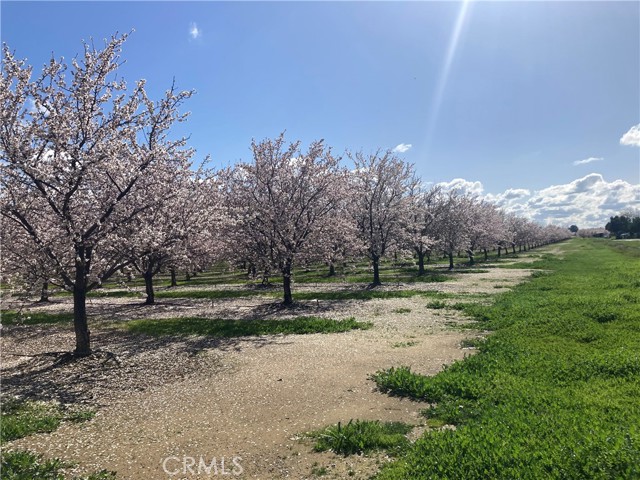 24751 South Avenue, Corning, California 96021, 2 Bedrooms Bedrooms, ,1 BathroomBathrooms,Residential,For Sale,24751 South Avenue,CRSN23229193