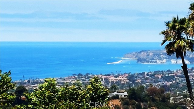 40 Paseo Alba, San Clemente CA: https://media.crmls.org/medias/76a38da3-f10f-44f7-9af2-85903cbfae34.jpg