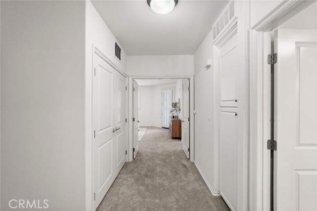 13031 Villosa, 422 photo 25