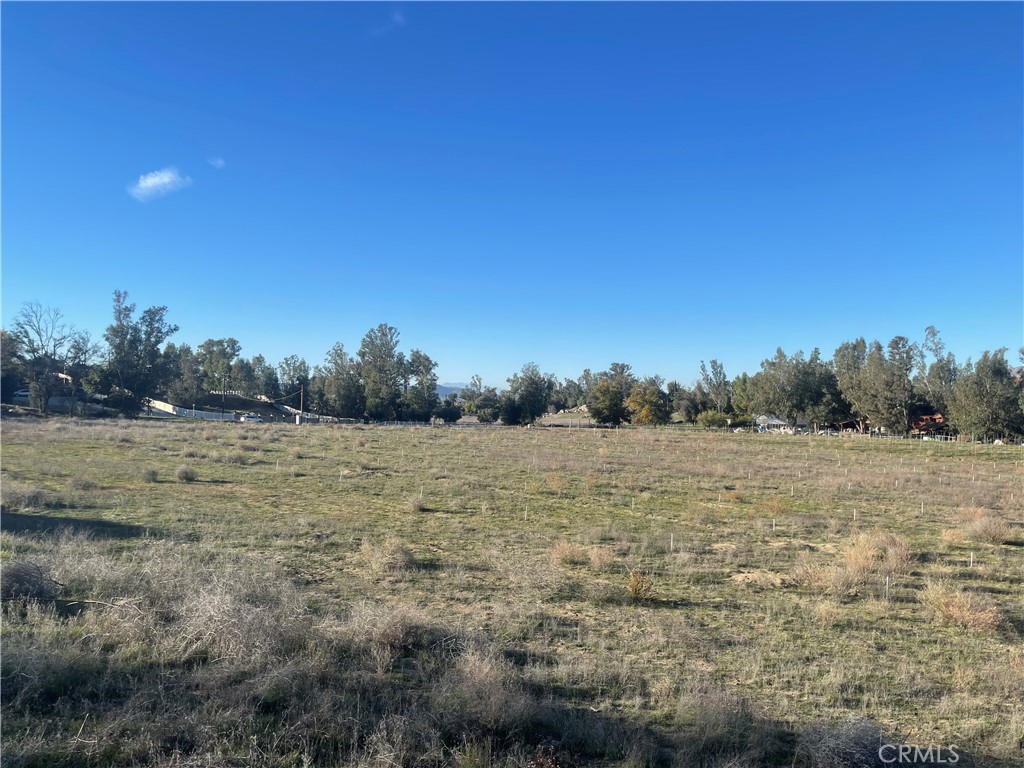 MLS #WS25276306 image #35