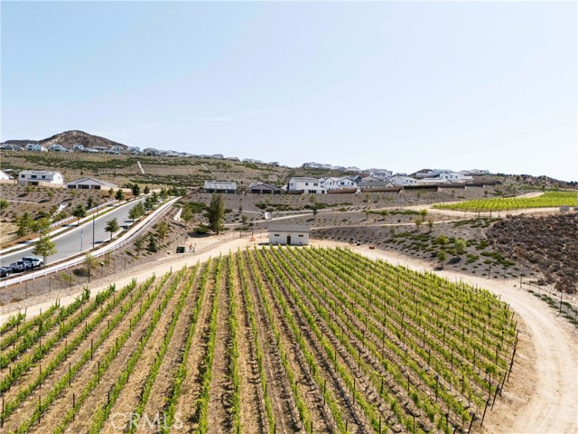 28528 Wildflower Terrace, Castaic CA: https://media.crmls.org/medias/76aaa0f2-65d3-4acc-9104-db69761b7be5.jpg