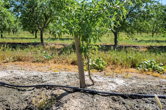 Detail Gallery Image 4 of 20 For 0 Buchanan Hollow Rd, Le Grand,  CA 95333 - – Beds | – Baths