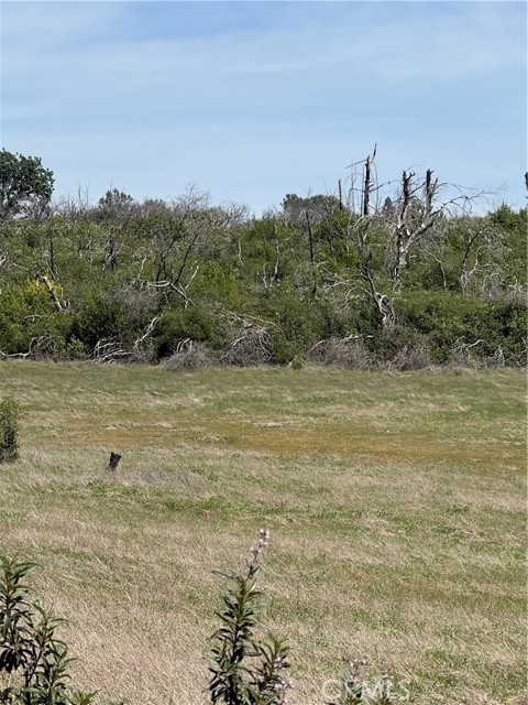 Detail Gallery Image 17 of 33 For 0 Round Valley Ranch, Paradise,  CA 95969 - – Beds | – Baths