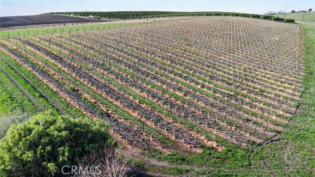 Detail Gallery Image 5 of 9 For 7114 Orcutt Rd, San Luis Obispo,  CA 93401 - – Beds | – Baths