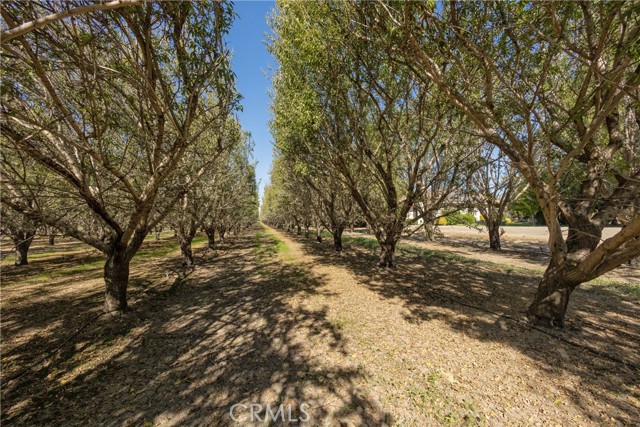 Detail Gallery Image 61 of 71 For 7964 County Road 33, Glenn,  CA 95943 - 3 Beds | 2 Baths