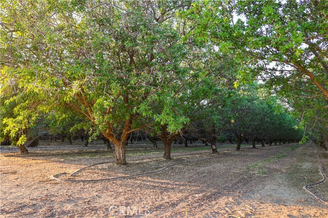 Detail Gallery Image 25 of 33 For 0 I5/Shields, Firebaugh,  CA 93622 - – Beds | – Baths