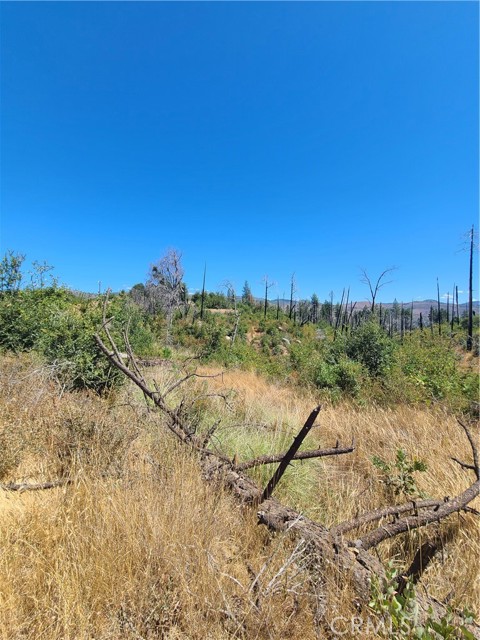 Detail Gallery Image 2 of 2 For 0 Hog Ranch Road, Concow,  CA 95965 - – Beds | – Baths