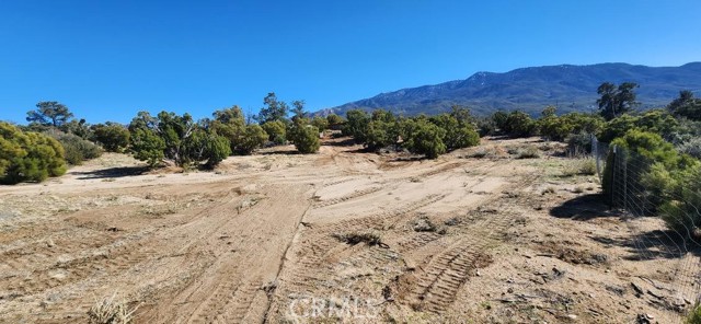 0 St. Moritz, Mountain Center, California 92561, ,Land,For Sale,0 St. Moritz,CREV24025187