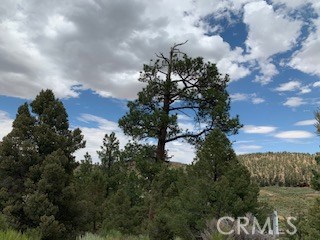 0 Ponderosa, Big Bear City, California 92314, ,Land,For Sale,0 Ponderosa,CROC20150732