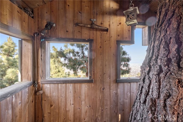 Inside Tree House