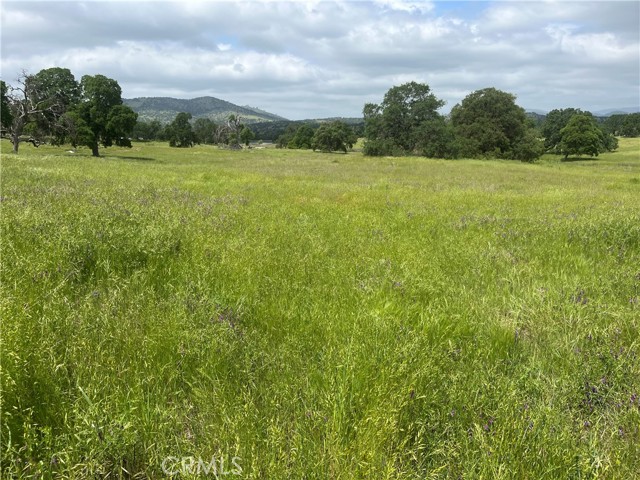 Detail Gallery Image 1 of 17 For 2463 Old Hwy, Catheys Valley,  CA 95306 - – Beds | – Baths