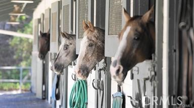 MLS #OC25255577 image #29