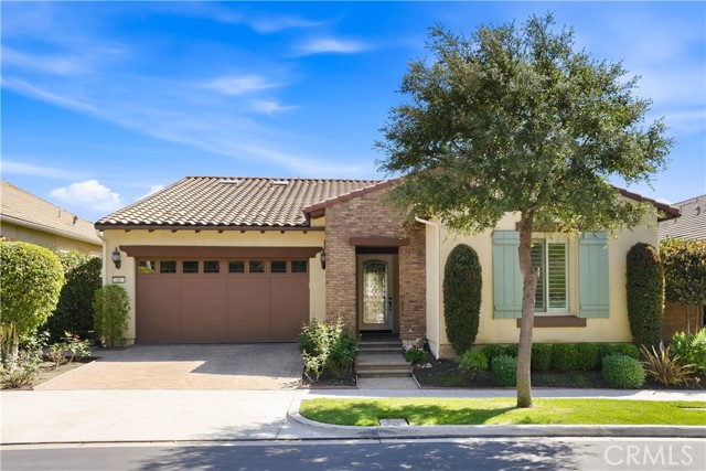 Front Image Thumbnail for CROC26054287